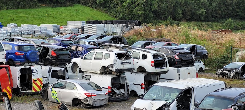 Large inventory of vehicles for parts at Collon Vehicle Dismantlers